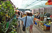 Santo da Serra farmers' market